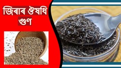 medicinal benefits of cumin