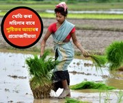 কৃষি ক্ষেত্ৰত নিয়োজিত মহিলাৰ দৈনন্দিন আহাৰৰ প্ৰয়োজনীয়তা