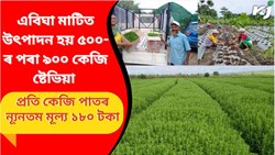 Stevia farming system & its benefits