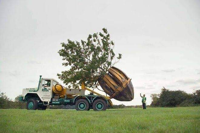 Tree Removal Machine