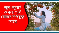 Improve Orange Farming System & its benefit