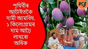 মিয়াজিকিৰ নকৰাকৈ  আম খেতিৰ পৰাই লাখ টকা ঘটি আছে ধনীৰাম চেতিয়াই