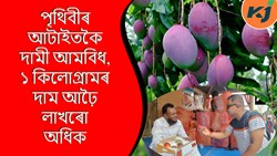 World best expensive mango Miyazaki, 2.50 lakh Per kilogram