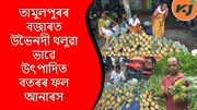 Pineapple : তামুলপুৰত অনাৰসৰ খেতিৰে স্বাৱলম্বণৰ পথ বাচি লৈছে কৃষকে