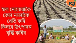 Zero tillage farming Methods & its benefit