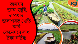 How to farming in the rivers, deep fields and reservoirs of Assam!