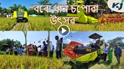 Grand Harvest of Bodo paddy :  ৰাজ্যজুৰি অব্যাহত "বৰো ধান চপোৱা উৎসৱ"