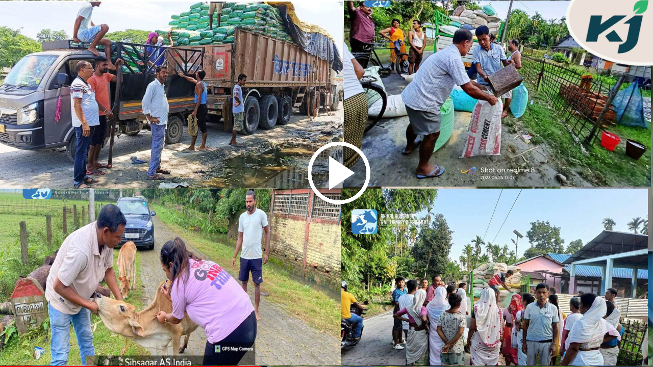 Distributed animal feed in flood affected area