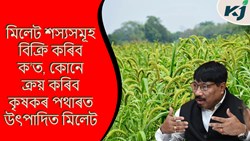 Where will farmers sell their field produced millet?