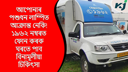 Lumpi skin disease is a serious disease in Assam