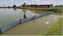 Precautions taken in ponds during rainy season