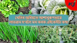 Noteworthy aspects of winter crop cultivation