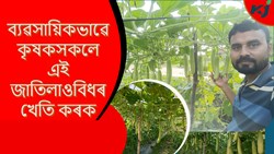 Bhushan laki farming methods & its benefit