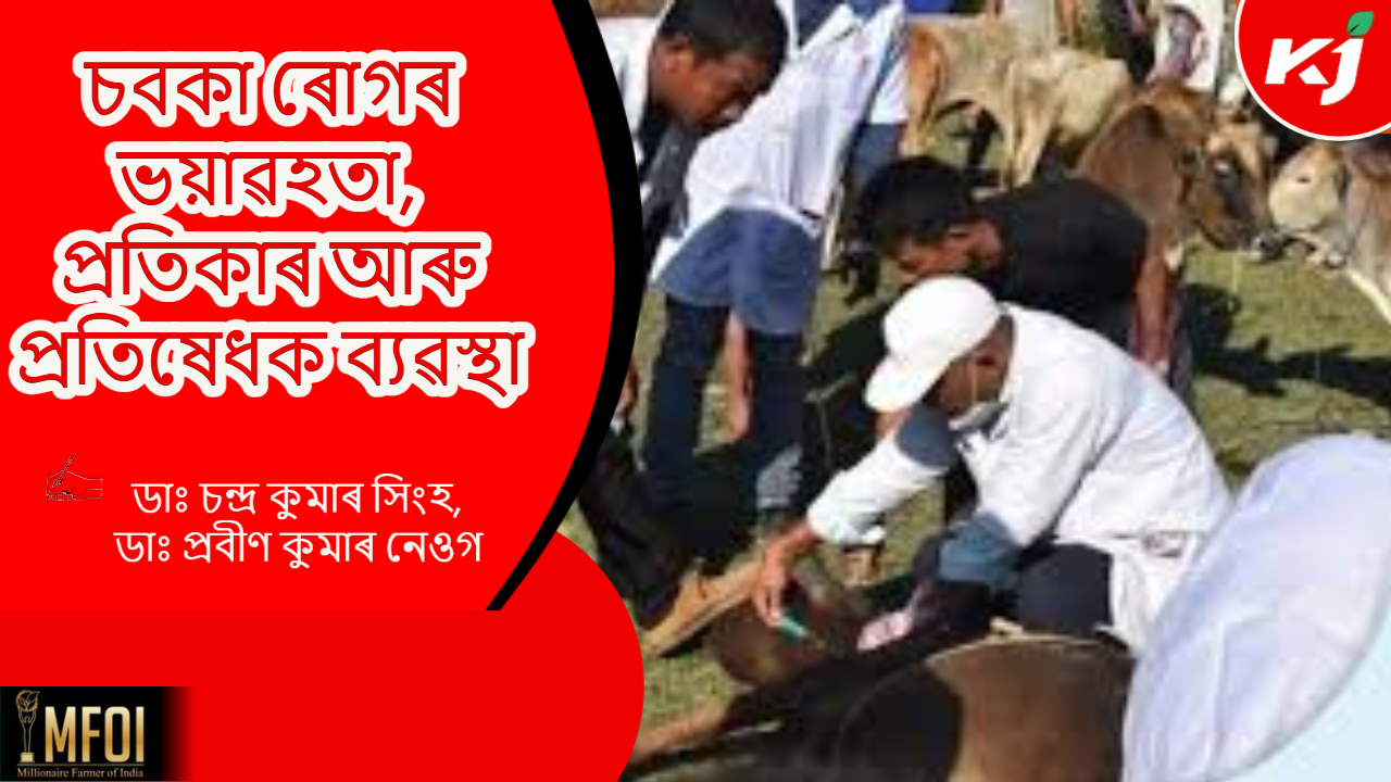 Foot and mouth disease of Cow & Goat