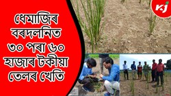 Vetiver farming Methods & its benefit