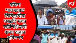 District agriculture officer visited Hatshingmari Paddy market