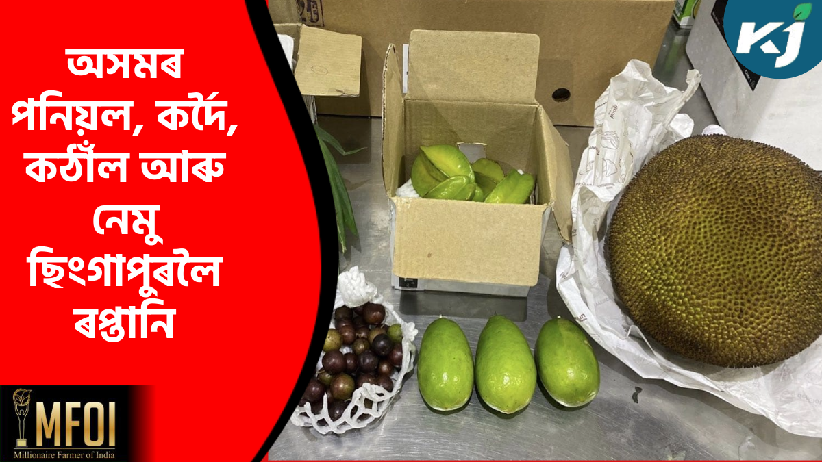 Assam fruit Export  to Chingapur in First time