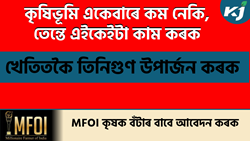 Three Rural business idea in Assam