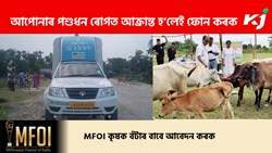 Mobile Veterinary Services Number