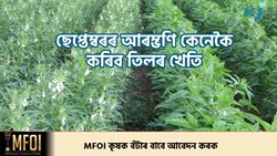 Sesame Farming & its benefit