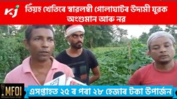 Cucumber Farming: Grow cucumber with better system