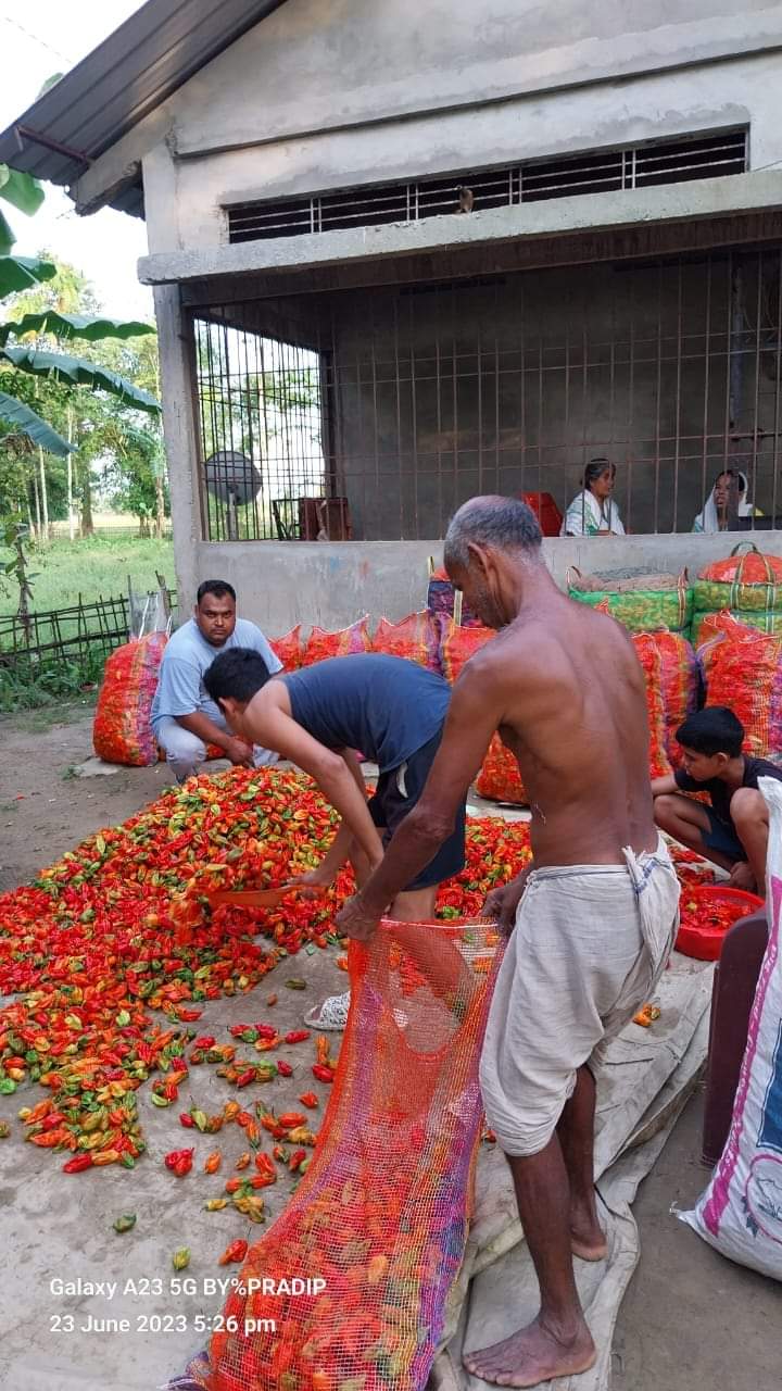 ভৱেন শালৈ, তৰাণি পথাৰ