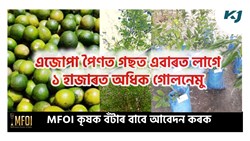 Rough Lemon Farming Time & benefit