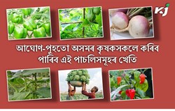 These vegetables can also be monsoon season