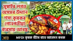 Assam lemons bring smiles to Vashi market, to be exported to UAE