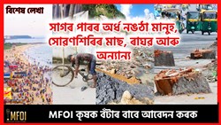 Now, Real Picture of Assam