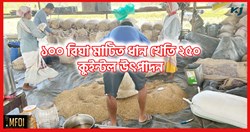 Paddy Farming in Sivsagor