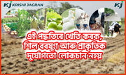 Integrated farming : এই পদ্ধতিৰে খেতি কৰক, শিল বৰষুণ আৰু প্ৰাকৃতিক দুৰ্যোগতো লোকচান নহয়