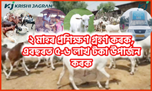 Goat farming : ২ মাহৰ প্ৰশিক্ষণ গ্ৰহণ কৰক, এবছৰত ৫-৬ লাখ টকা উপাৰ্জন কৰক