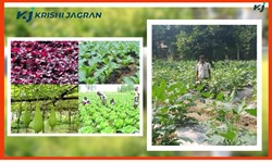 Pre- and post-harvest systems of Rabi crops