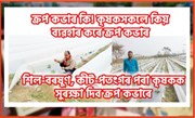 Crop Cover : ক্ৰপ কভাৰ কি! কৃষকসকলে কিয় ব্যৱহাৰ কৰে ক্ৰপ কভাৰ