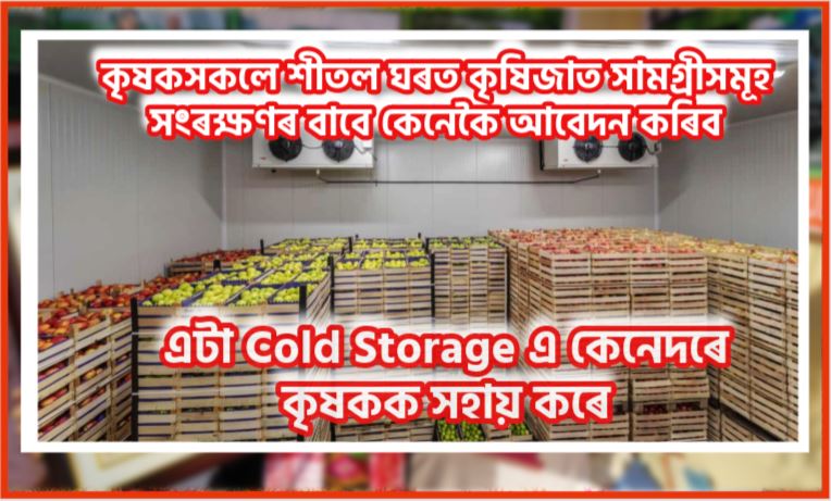 What are the benefits of cold storage?