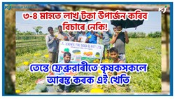 Watermelon Farming Benefit