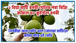 Apple berry Farming benefit