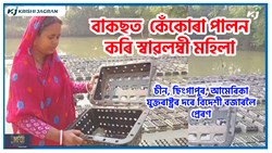 Crab farming Methods & benefit