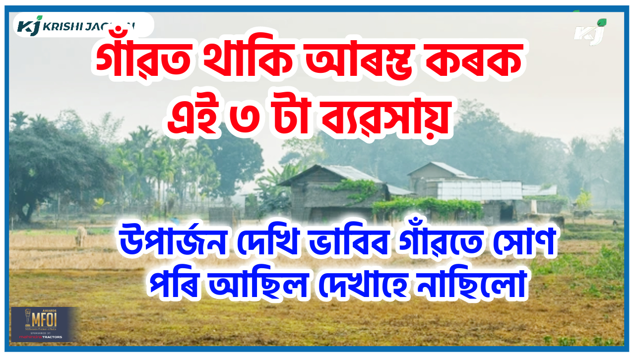 Assam village business idea