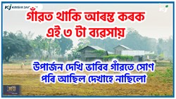 Assam village business idea