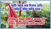 এইবাৰ ৫ বিঘা মাটিত কৰক এই উন্নত জাতসমূহৰ ভেণ্ডিৰ খেতি