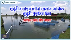 Fishery previous papers