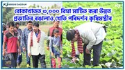 চলিত বৰ্ষত ৰঙালাও খেতিৰে ২কোটি টকা উপাৰ্জনৰ লক্ষ্য কৃষকসকলৰ