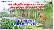 Jute Farming : ধান খেতি কৰিব নোৱৰা দ পথাৰত কৃষকসকলে কৰক মৰাপাটৰ খেতি