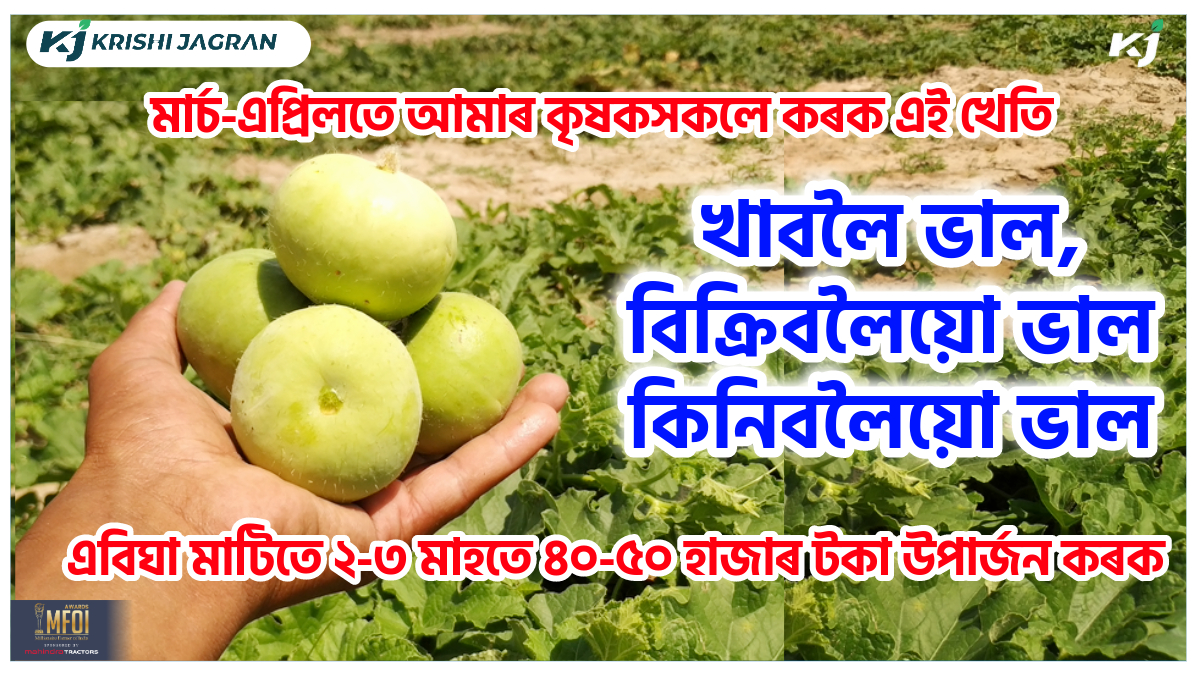 Apple Gourd : Its Farming Time & Benefit