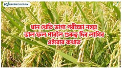 Paddy farming New Methods