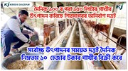 সৰ্বোচ্চ উৎপাদনৰ সময়ত দত্তই দৈনিক নিম্নতম ১০ হেজাৰ টকাৰ গাখীৰ বিক্ৰী কৰে