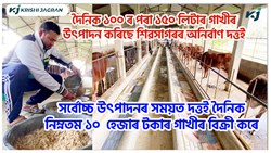 Daily 100 to 150 liters milk  productions of Anirban Dutta