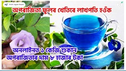 Butterfly pea Farming Benefit